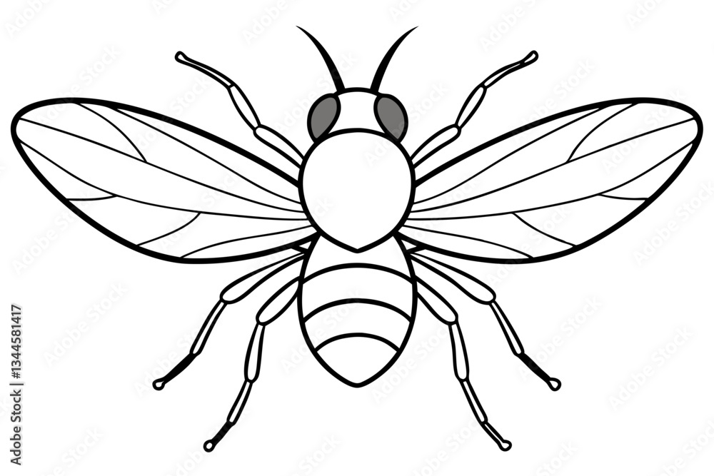 Fototapeta premium fly line art silhouette vector illustration