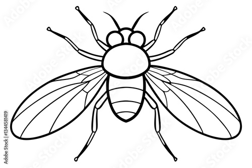fly line art silhouette vector illustration