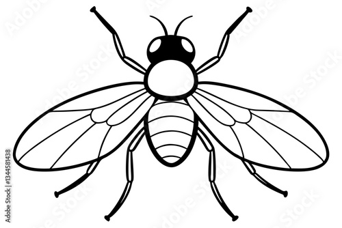fly line art silhouette vector illustration