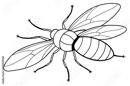 fly line art silhouette vector illustration