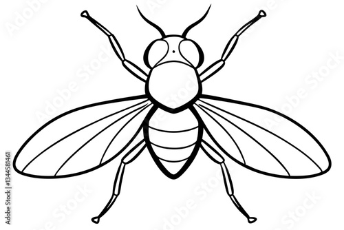 fly line art silhouette vector illustration