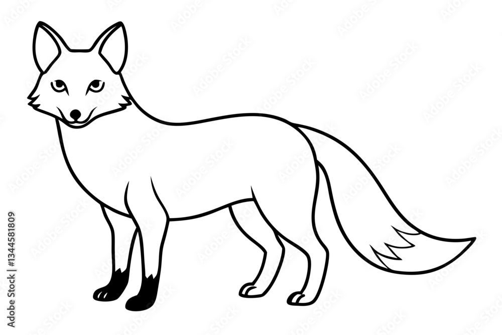 Fototapeta premium fox line art silhouette vector illustration