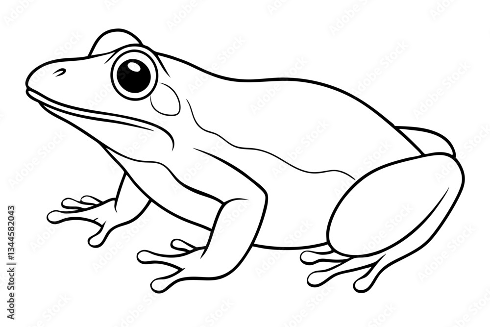 Fototapeta premium frog line art silhouette vector illustration