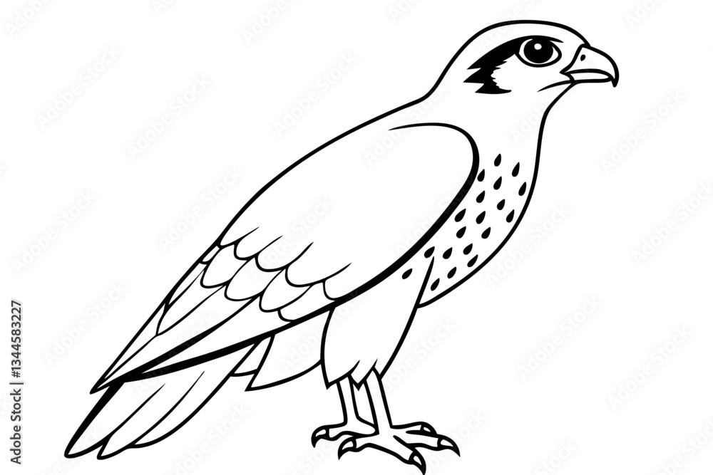 hawk line art silhouette vector illustration hawk line art silhouette vector illustration