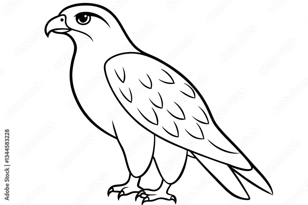 Fototapeta premium hawk line art silhouette vector illustration