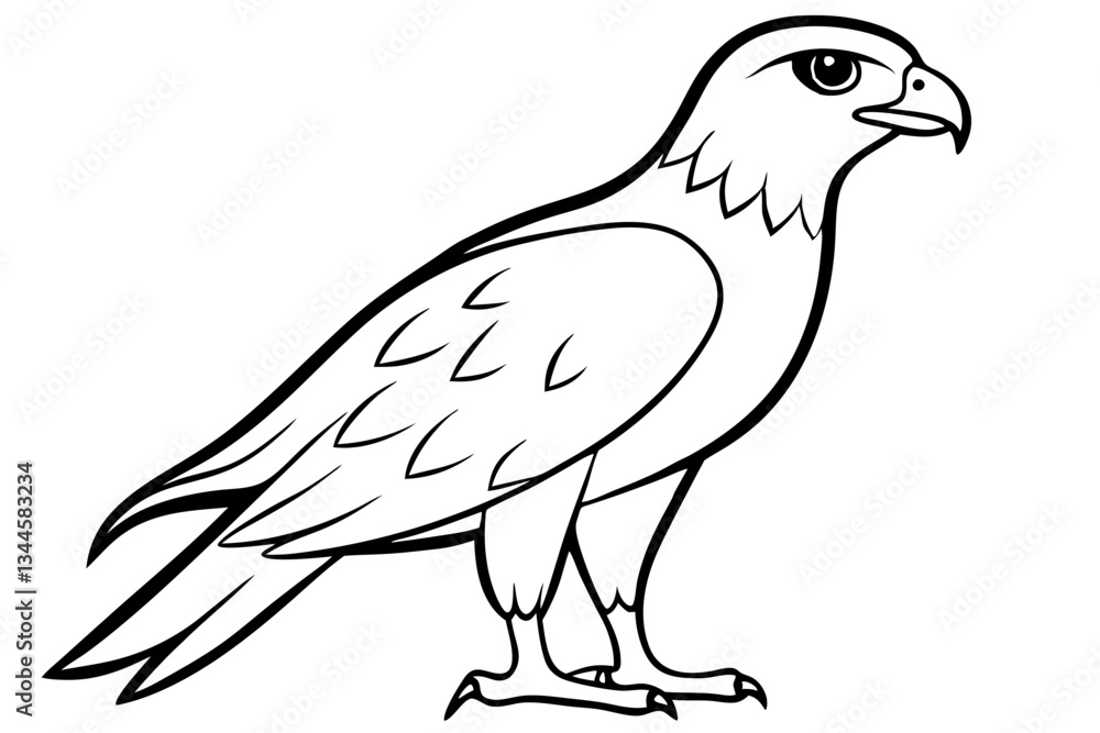 Fototapeta premium hawk line art silhouette vector illustration