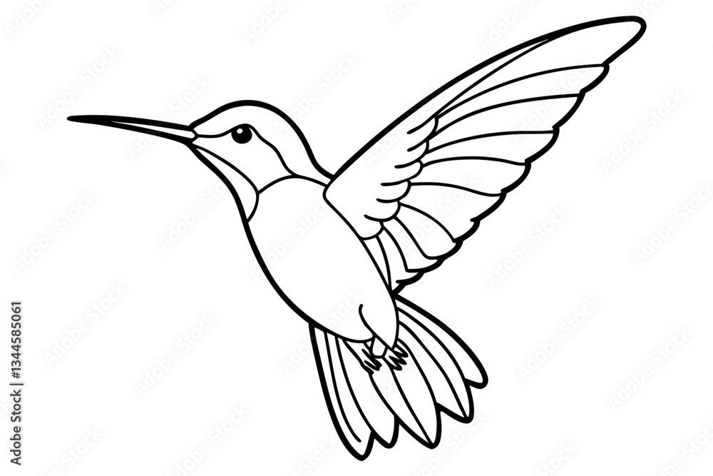 hummingbird line art silhouette vector illustration hummingbird line art silhouette vector illustration