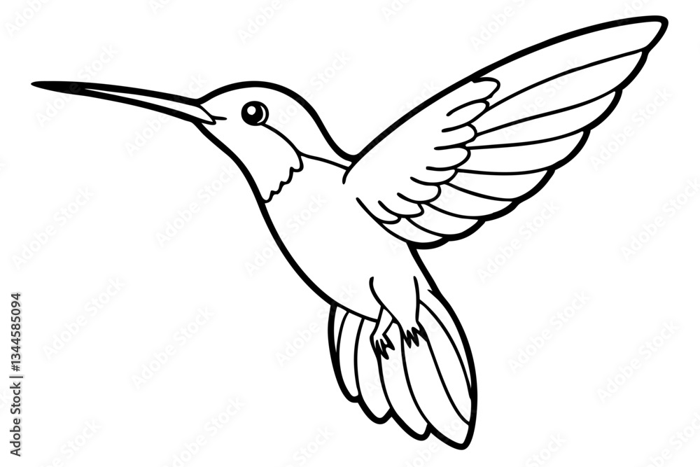 hummingbird line art silhouette vector illustration hummingbird line art silhouette vector illustration