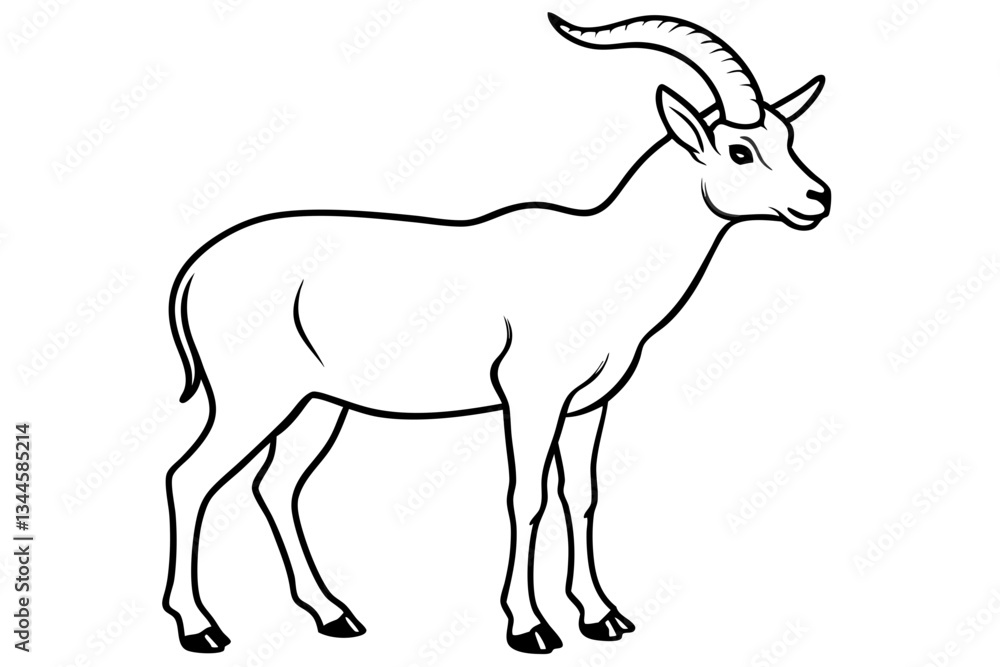 ibex line art silhouette vector illustration ibex line art silhouette vector illustration