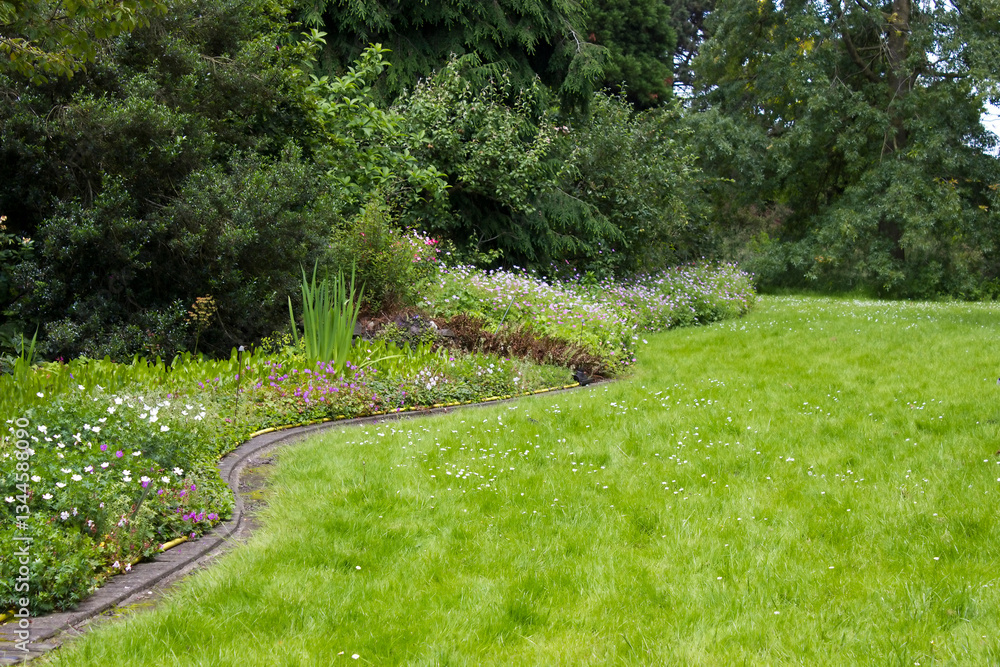 garden landscape with trees, bushes and different plants - summertime