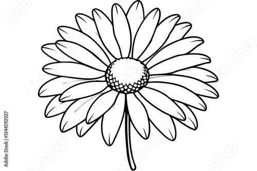 daisy line art silhouette vector illustration