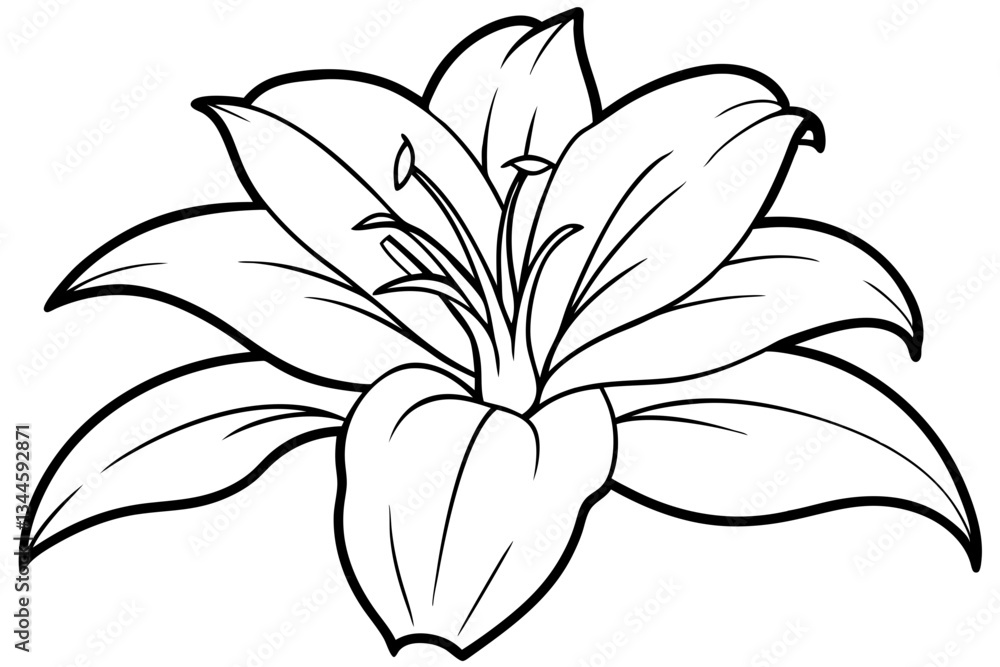 Obraz premium lily line art silhouette vector illustration