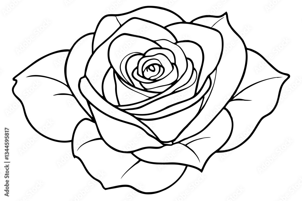 rose line art silhouette vector illustration rose line art silhouette vector illustration