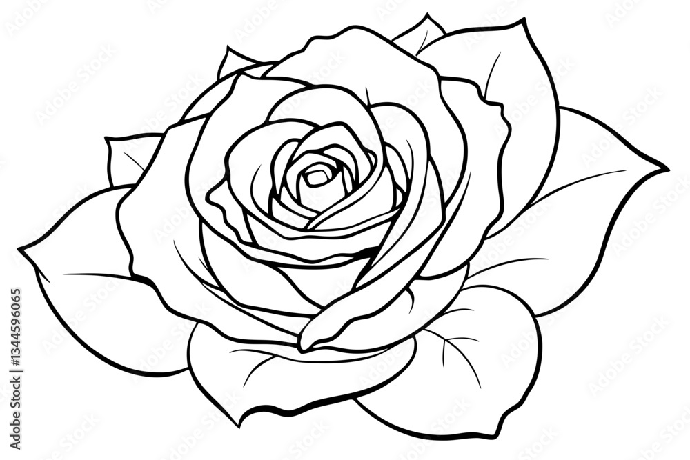 rose line art silhouette vector illustration rose line art silhouette vector illustration