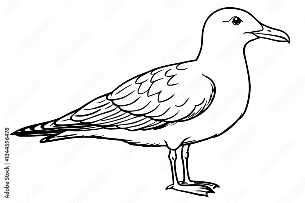 Fototapeta premium seagull line art silhouette vector illustration