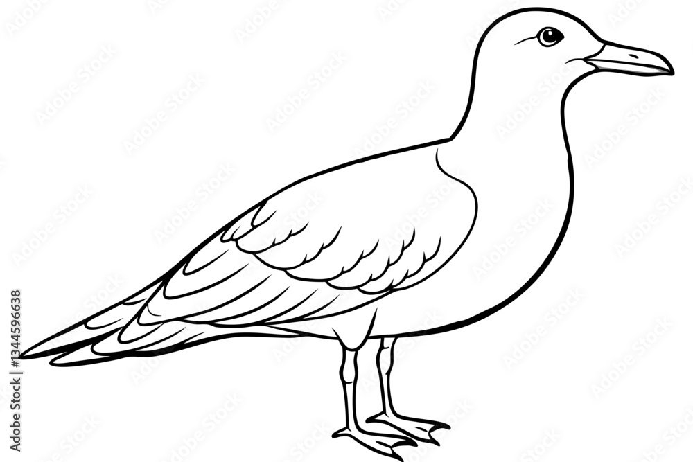 Fototapeta premium seagull line art silhouette vector illustration