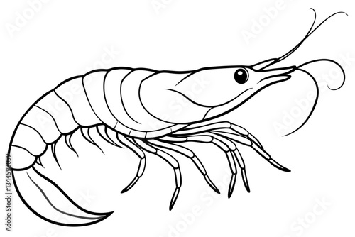 shrimp line art silhouette vector illustration