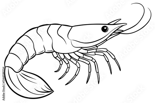 shrimp line art silhouette vector illustration