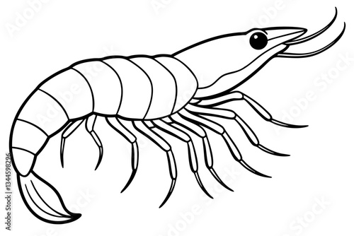 shrimp line art silhouette vector illustration