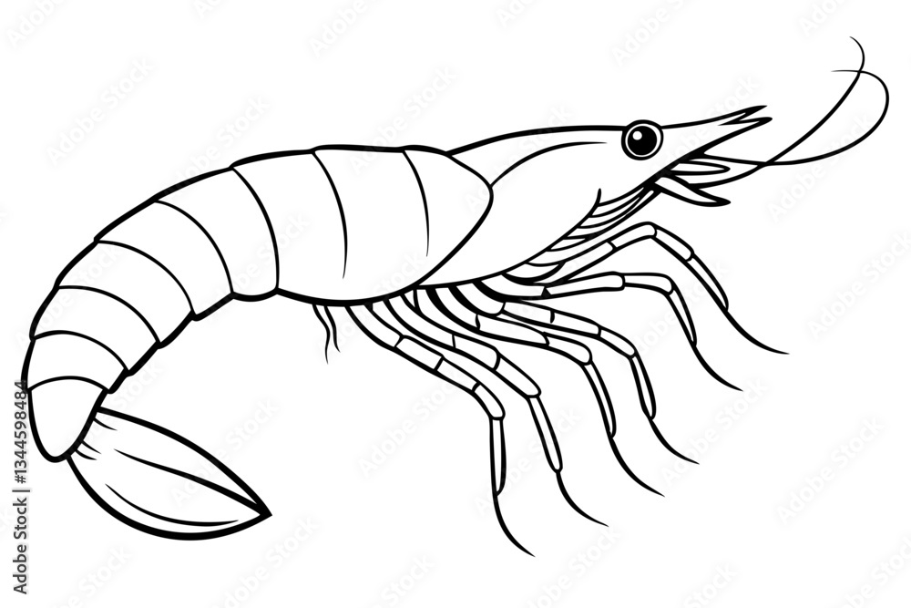 Fototapeta premium shrimp line art silhouette vector illustration