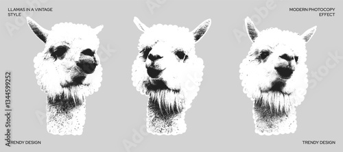 Grainy llamas with a retro photocopy effect. Modern black-colored animal design. Y2K stickers for design. Animals, llamas. For banners, social media, posters. Collage elements