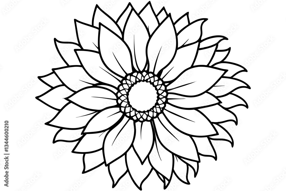 Fototapeta premium sunflower line art silhouette vector illustration
