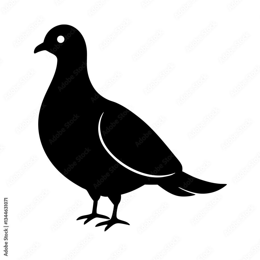 Obraz premium Silhouette of a pigeon on a white background, black and gray illustration of a bird with wings and beak