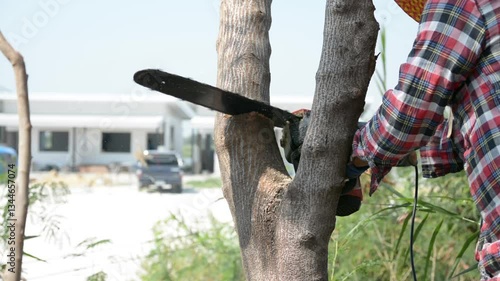 Man uses a chainsaw to cut the tree. Man cutting logs of wood 