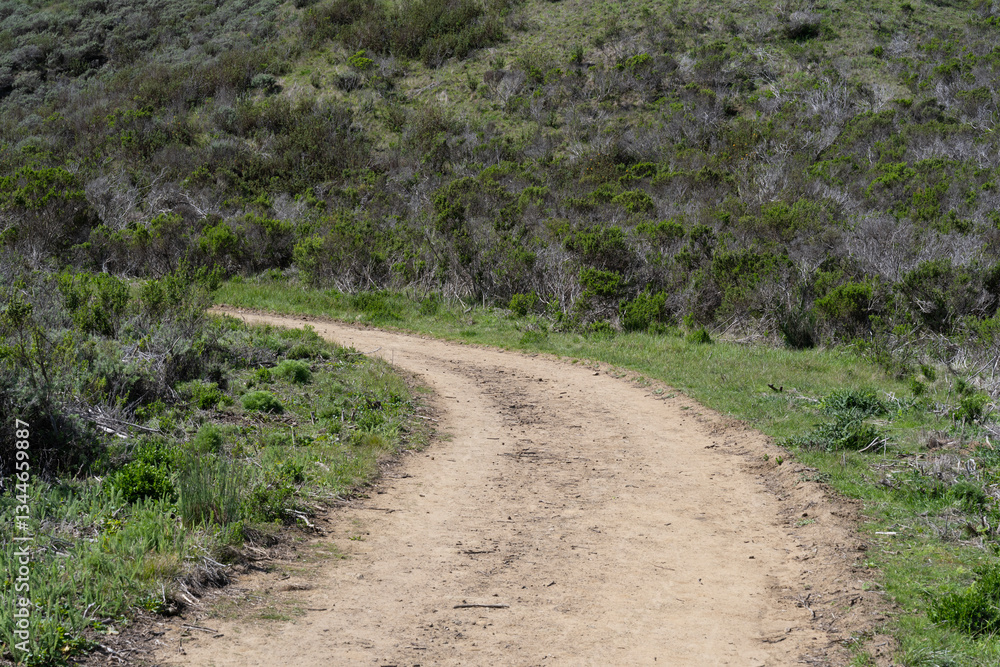 Winding dirt path cutting through a rugged, natural landscape. The trail is flanked by dense, wild vegetation and grassy patches. Winding dirt path cutting through a rugged, natural landscape. The trail is flanked by dense, wild vegetation and grassy patches.