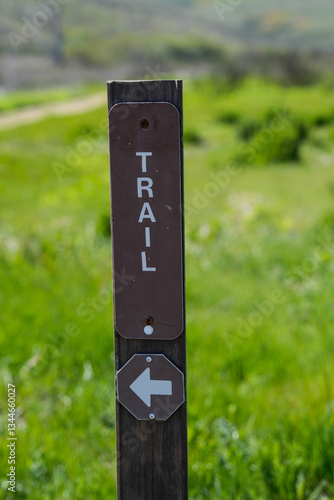 Картината върху платно Sign with white text that reads TRAIL and an arrow pointing to the left