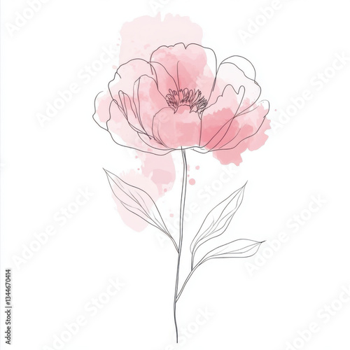 Single continuous line drawing of a tender Peony flower with pink watercolor accent. Minimalist style, elegant and clean composition.