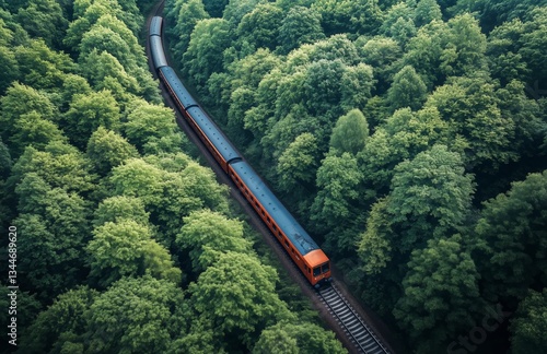 Train Travels Through Dense Green Forest in a Serene Landscape Setting During...