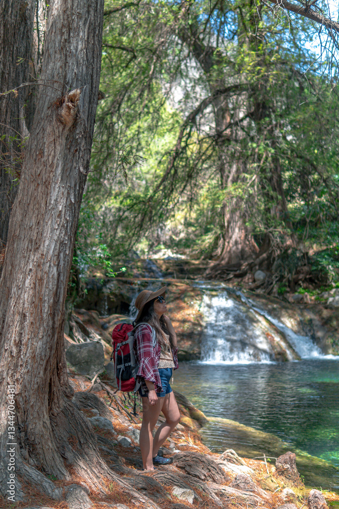 Obraz premium Female hiker admiring waterfall in lush forest setting