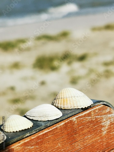 Makro on the Beach