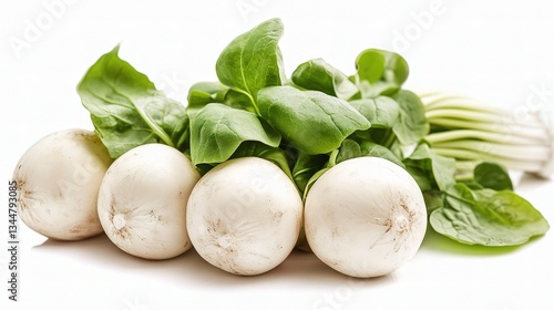 Renewable Energy Concept with Light Bulb and Plant Imagery