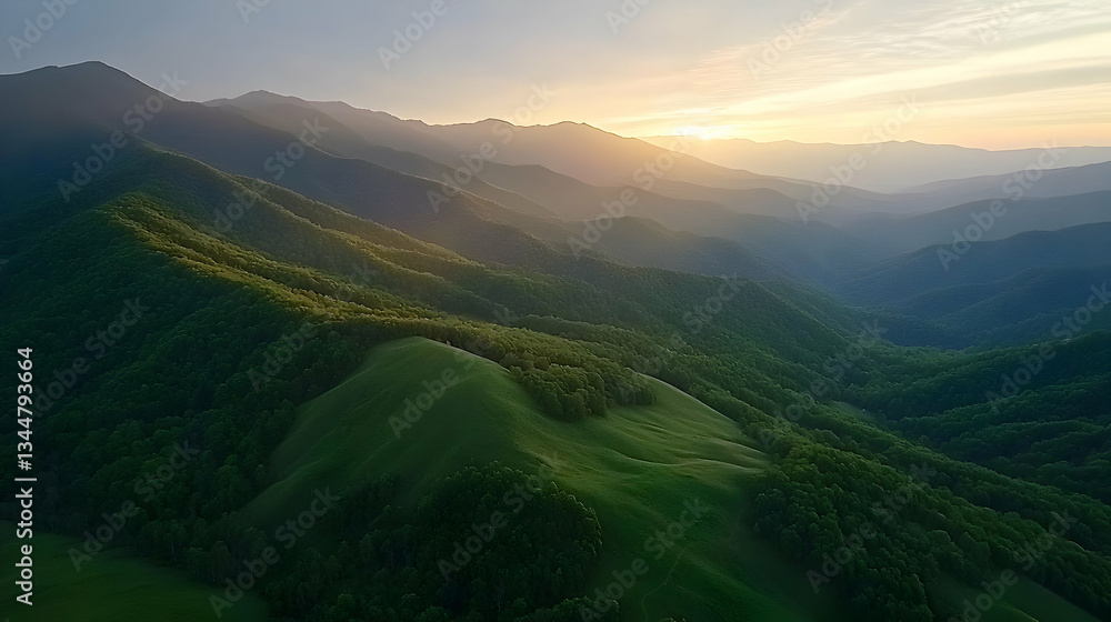 Fototapeta premium Aerial View of Lush Green Forested Mountains and Valleys under Golden Sunset Light