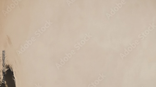 Abstract beige background with subtle texture and dark paint stroke pattern
