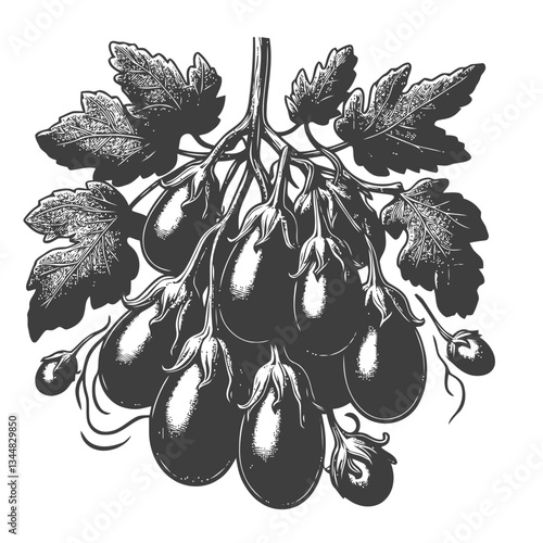 Artistic illustration of vibrant eggplants on a delicately twisted vine