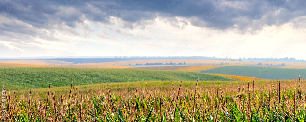 rural landscape with fields under a cloudy sky