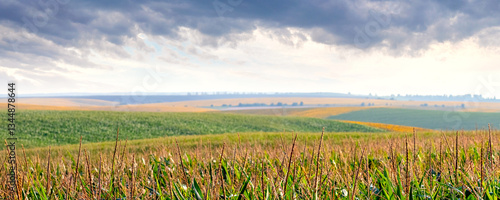 Obraz na płótnie rural landscape with fields under a cloudy sky w salonie