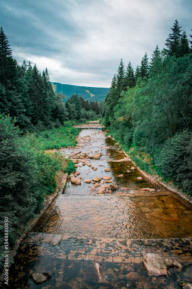 Fototapeta premium A river flowing down from the mountains, along which there is a dense coniferous forest and rocks.