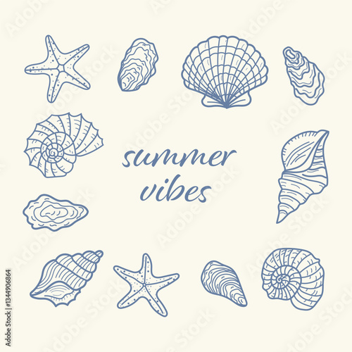 Set of hand drawn seashells. Summer vacation design elements for trendy prints, label, menu cover. Tropical beach shells. Vector flat illustration.