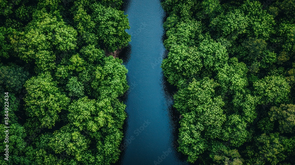 Lush green forest surrounding a serene river Lush green forest surrounding a serene river