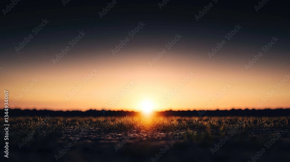 Fototapeta premium Golden Sunset over Field