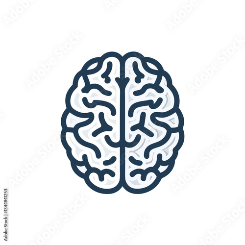 human brain isolated on white