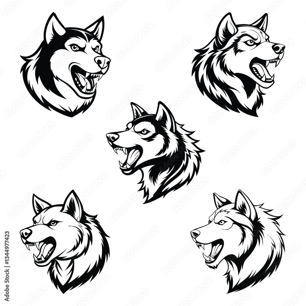 Fototapeta premium Alaskan Malamute