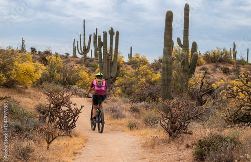 Woman Riding Mountain Bike Desert Trail During Spring Time In Arizona