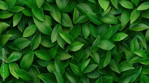 Wallpaper Mural   A clear photo of green leaves on a wall with a focus on the center of the image and a blurred background Torontodigital.ca