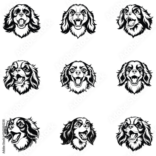 Cavalier King Charles Spaniel