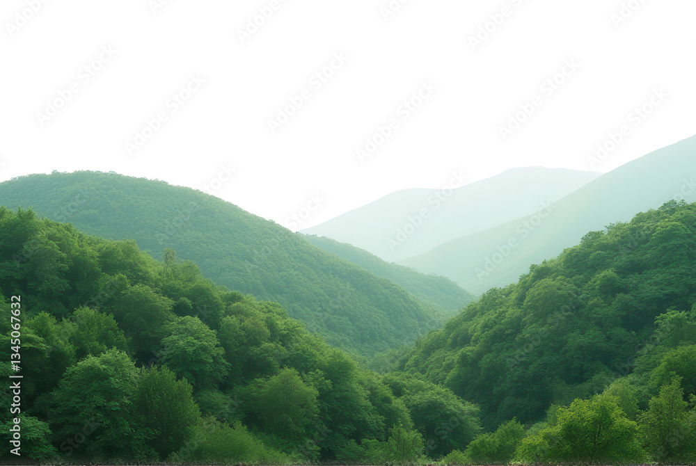 Obraz premium Lush Green Mountain Range Landscape